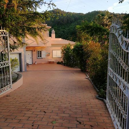 Villa Casa Loureiro - Vista Rio Douro à Resende Extérieur photo