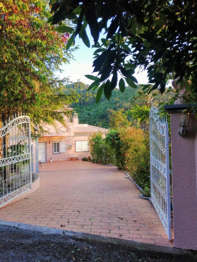 Villa Casa Loureiro - Vista Rio Douro à Resende Extérieur photo