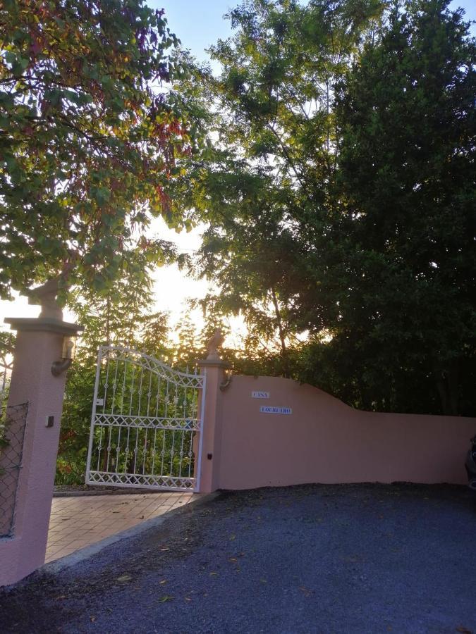 Villa Casa Loureiro - Vista Rio Douro à Resende Extérieur photo
