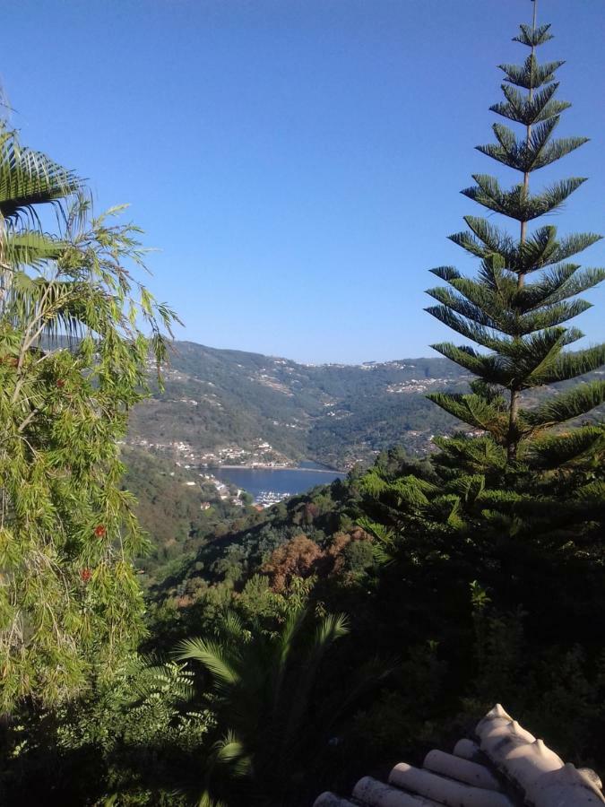 Villa Casa Loureiro - Vista Rio Douro à Resende Extérieur photo